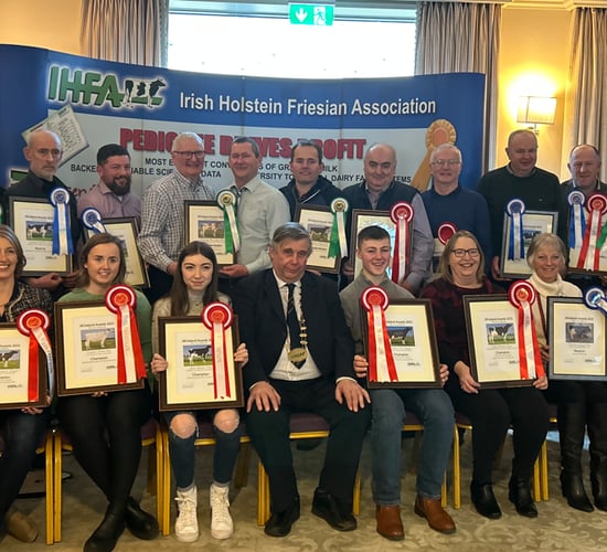 IHFA All-Ireland award winners celebrate in Co. Laois
