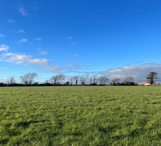 53.6ac of land in Rosslare offers road frontage