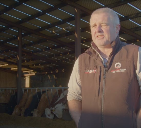 Watch: Meath farmer lays bare realities of 20-year battle with TB