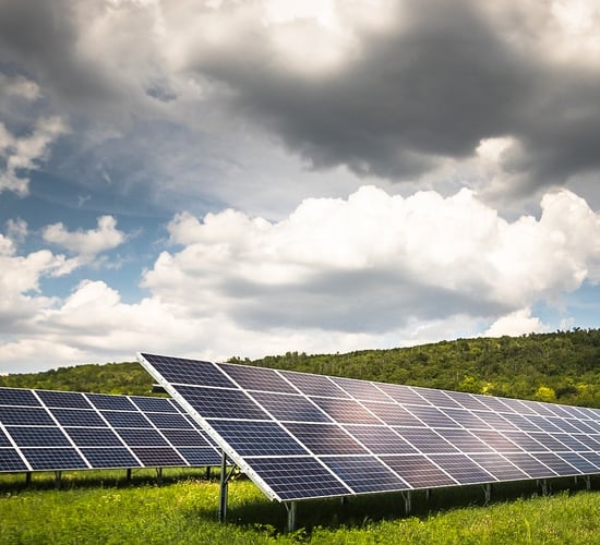 'No scientific evidence' linking solar farms to TB outbreaks - industry group