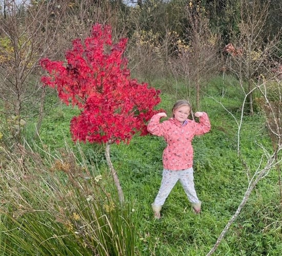 Meath man donates thousands of saplings nationwide