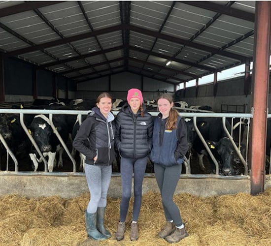 'Are cow collars worth the hype?' - Longford students