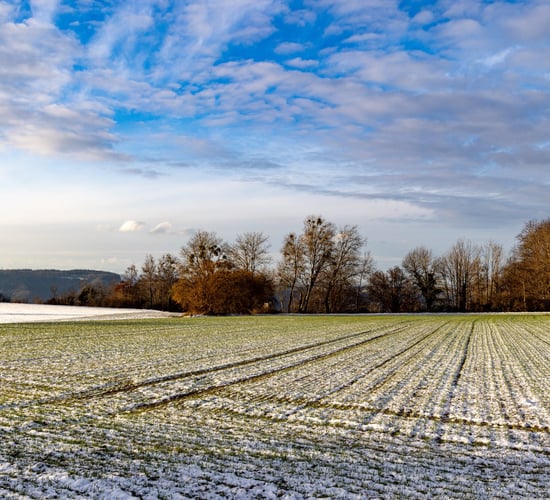 Winter is 11th season with above average temperatures - Met Éireann