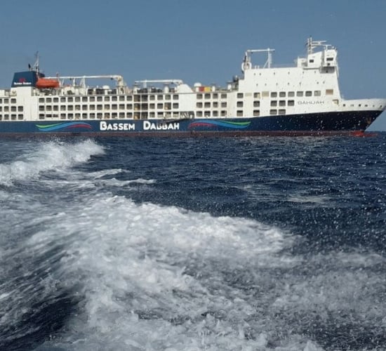 Re-export of livestock on ship not approved by Australian officials