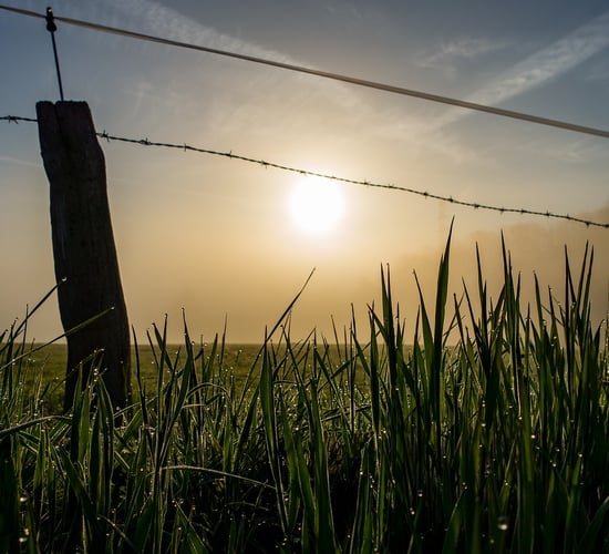ICSA: Fair payment the 'core principle' to nature restoration plan