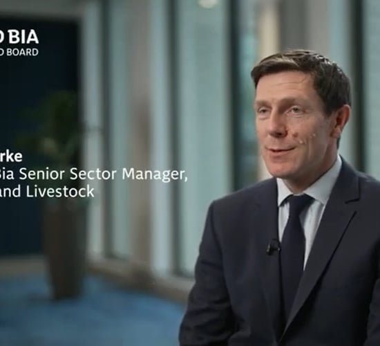 Watch: Irish cattle supplies set 'to tighten further' in 2024