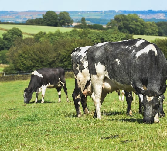 New farmers join NDC Farmer Ambassador Programme