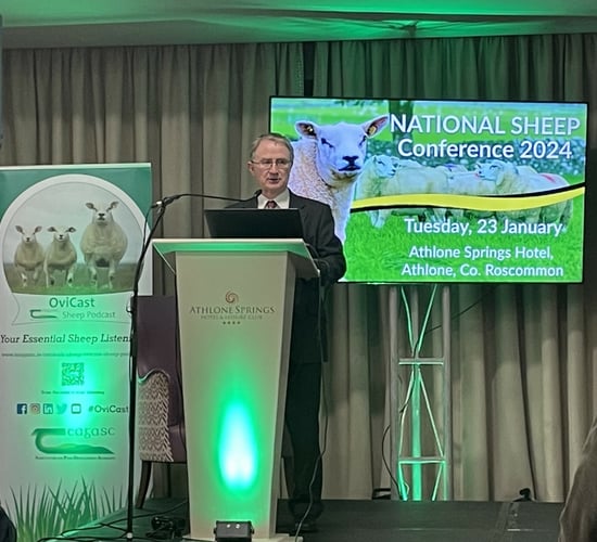 Galway and Meath to host lowland sheep conference
