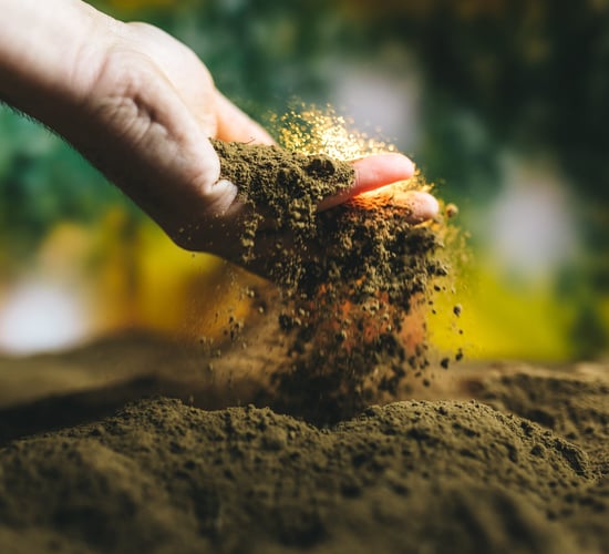 Origin Enterprises acquires two ecology businesses
