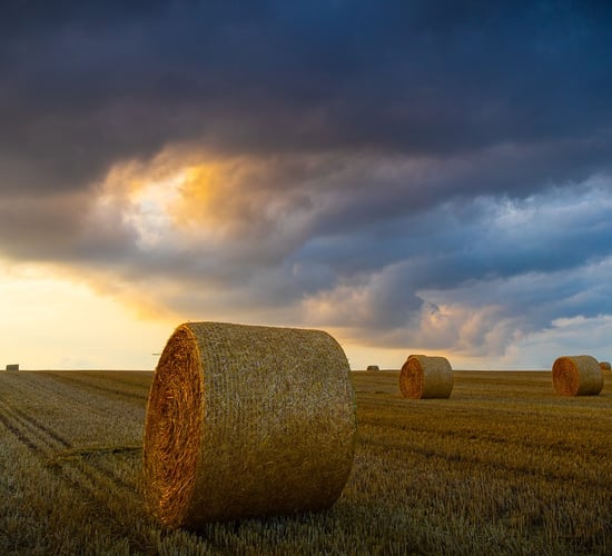 Average payments of €2,000 issued under Fodder Aid Scheme