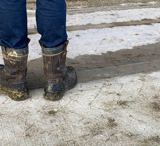 HSA to run inspection campaign on farmer health and wellbeing