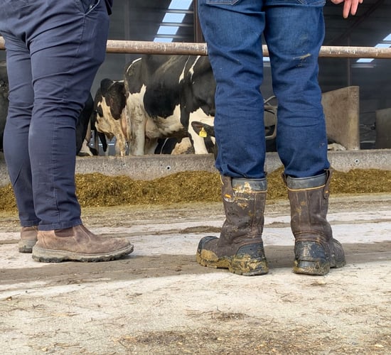 What will Budget 2025 hold for farmer tax reliefs?
