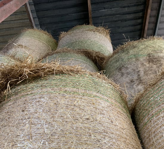 Livestock farmers urged to liaise with tillage sector on straw