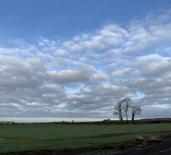 Farmland value growth lower in 2023 than previous year