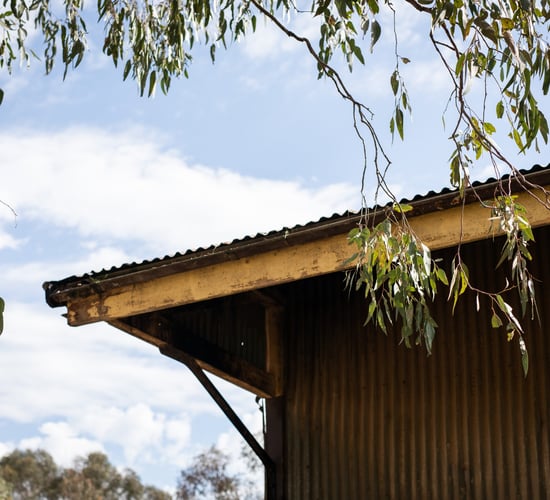 Dairy farmer fined after contractor dies in fall from shed roof