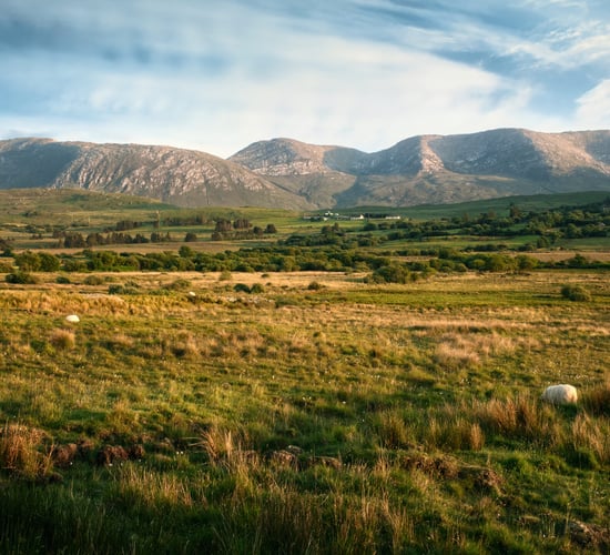 €60,000 bursary for rural development masters students launched