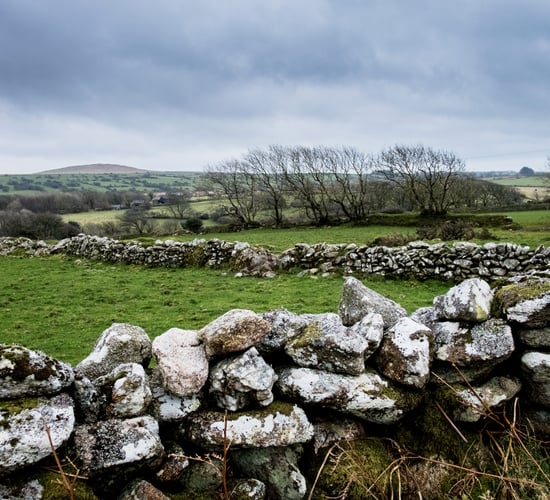 CSO: Highest volume of agricultural land sold in west in 2023