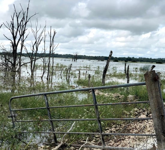 Trying to farm around flooded land at Lough Funshinagh