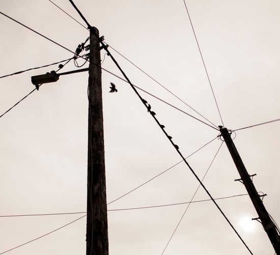 MEP calls for investment in 'outdated' electricity grid
