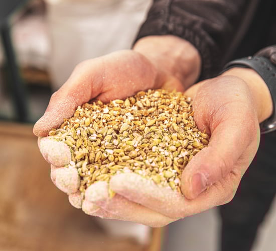 Farm orgs respond to harvest 2024 grain price offerings
