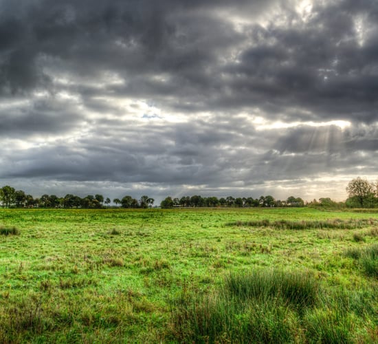 Report: Profitability of some farms in EU is 'being squeezed'