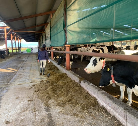 EU Commission changes rule on agricultural aid