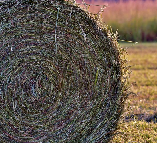 Kerrane: Action needed from minister on Agriland fodder survey results