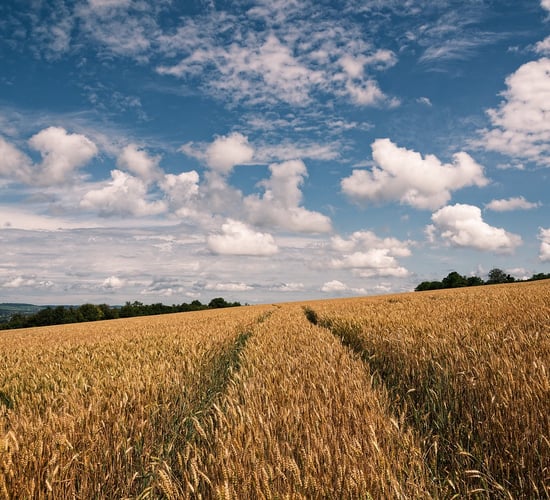 €7m fund for project to support nature in arable environment