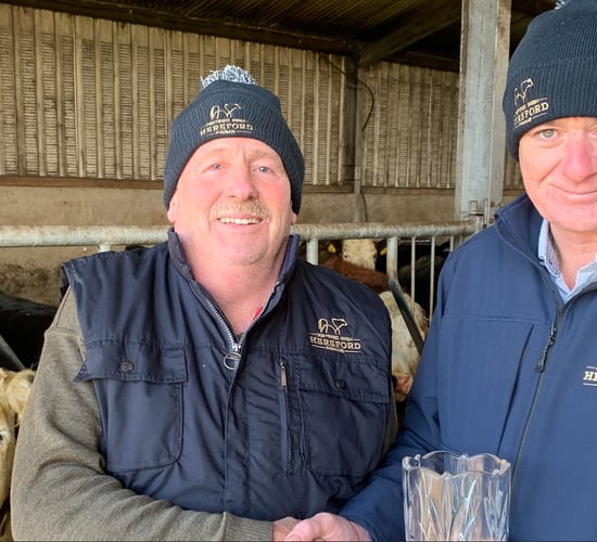 Ex-dairy farmer wins Irish Hereford Prime Farmer of the Year title