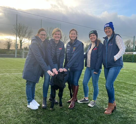 'Donate a calf' appeal for Rathgormack fundraiser