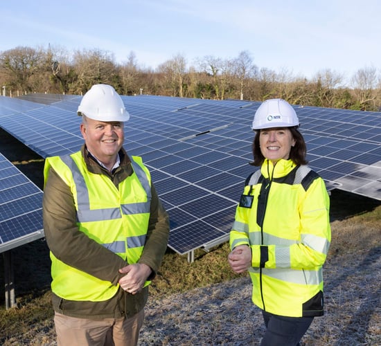 AIB buying renewable energy from Wexford solar farm