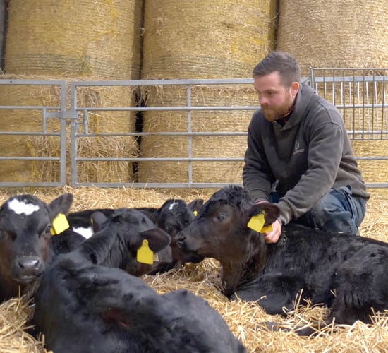 Revolution in calf feeding practices sparked in Co. Cork