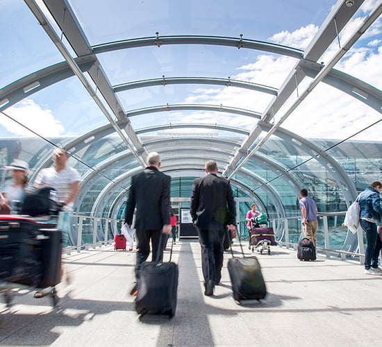 Holidaymakers urged to know law on illegal plant and animal trade