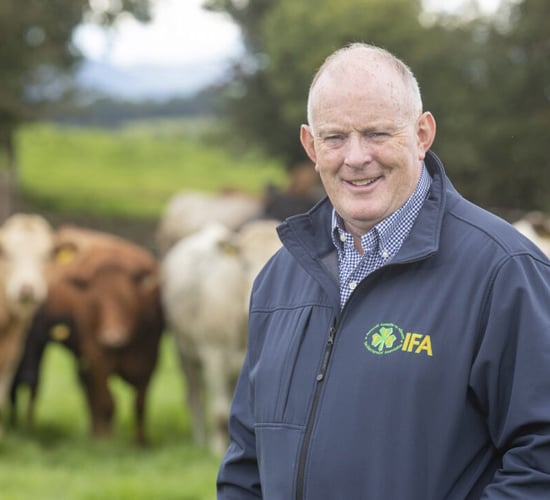 Gorman calls for more action amid bluetongue threat
