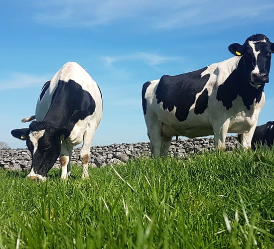 Terra Range Series to highlight practical solutions for farmers