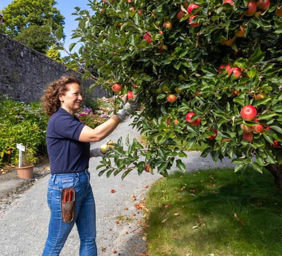 Mount Congreve School of Horticulture hosts open day