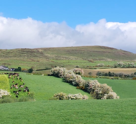 New course aims to make farms more pollinator friendly