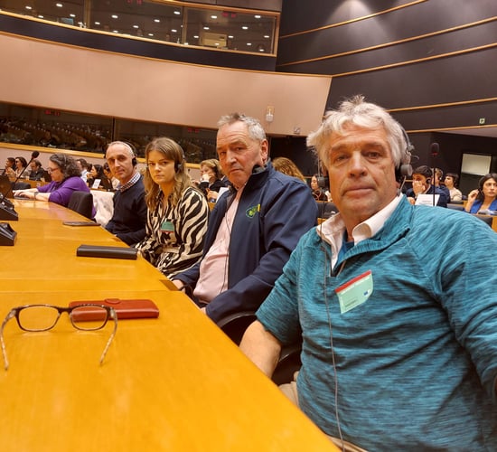 Irish MEPS urged to support IED amendment