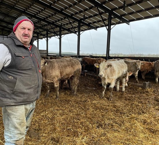 Watch: Deane questions IFA silence on suckler-farming exodus