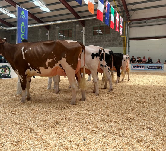 Entries open for IHFA Pure Protein and Premier sales