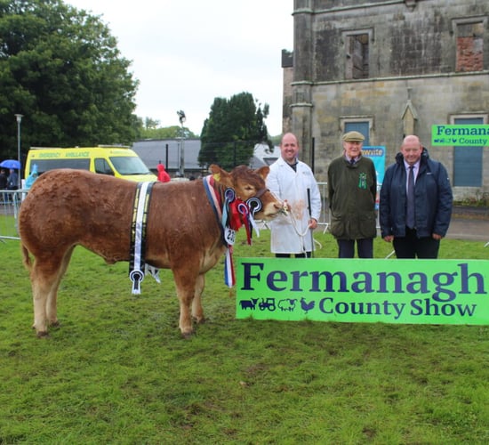 Changes to Fermanagh County Show format due to rising costs