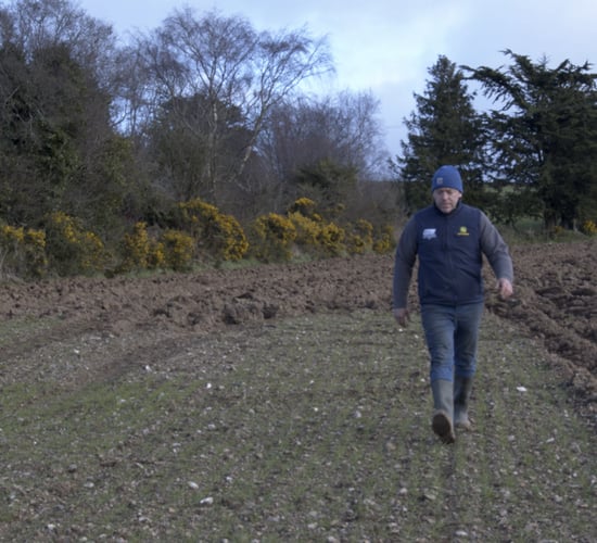 Organics Series: Watch - Wicklow farmer discusses conversion