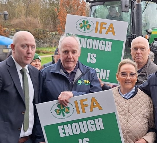 Longford County Council told of issues facing farmers
