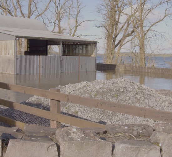 Video: Farmers' heartbreak over flooding at Lough Funshinagh