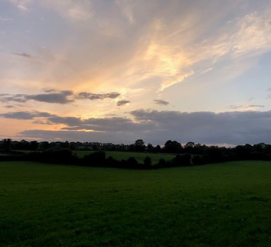 Total income from farming rises by 62.5% in NI in 2024