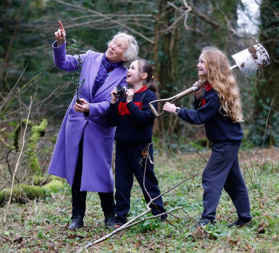 Coillte launches photo competition ahead of National Tree Week