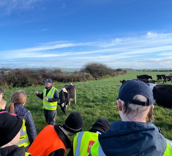 West Cork families provide farming workshops to school kids