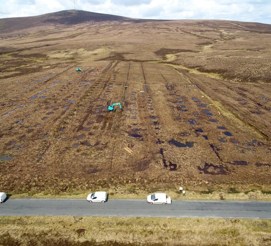 €600k peatlands restoration project launched in Wicklow