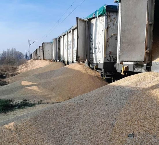 160t of Ukrainian grain 'damaged' at Polish railway station