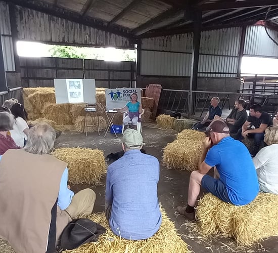 'Social Farming' is a 'win-win' for rural communities